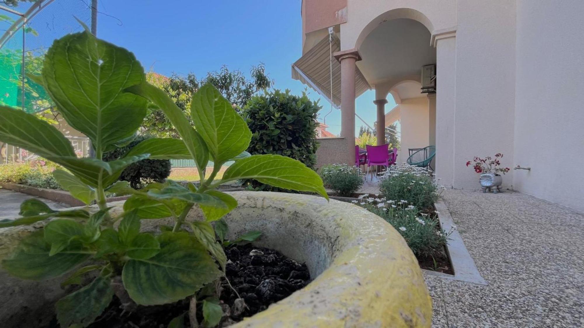 Apartments Villa Rotim Zara Esterno foto