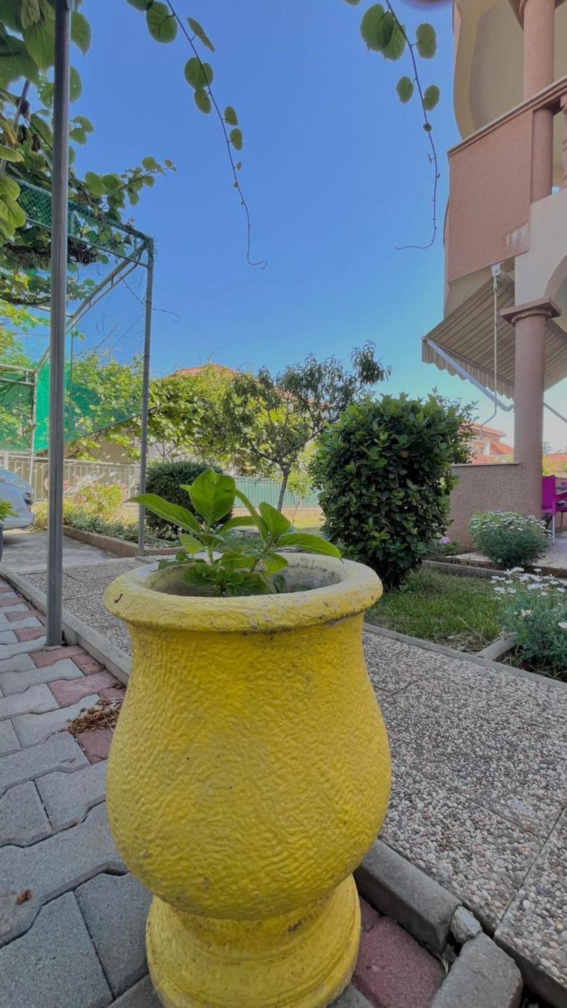 Apartments Villa Rotim Zara Esterno foto